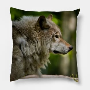 Timber Wolf Pillow