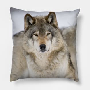 Timber Wolves Pillow