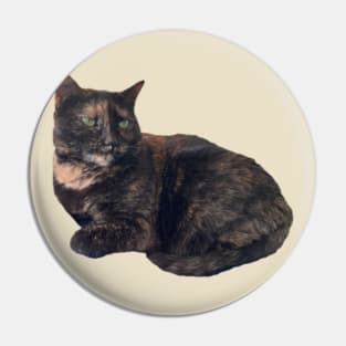 Tortie Cat Pin