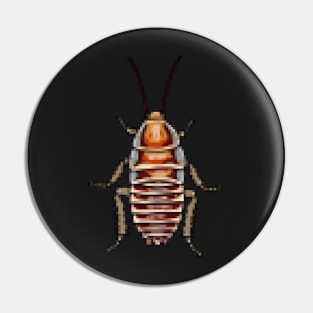 8bit pixel Cape Zebra cockroach (Temnopteryx phalerata) Pin