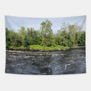 Flooding River in the Forest Tapestry