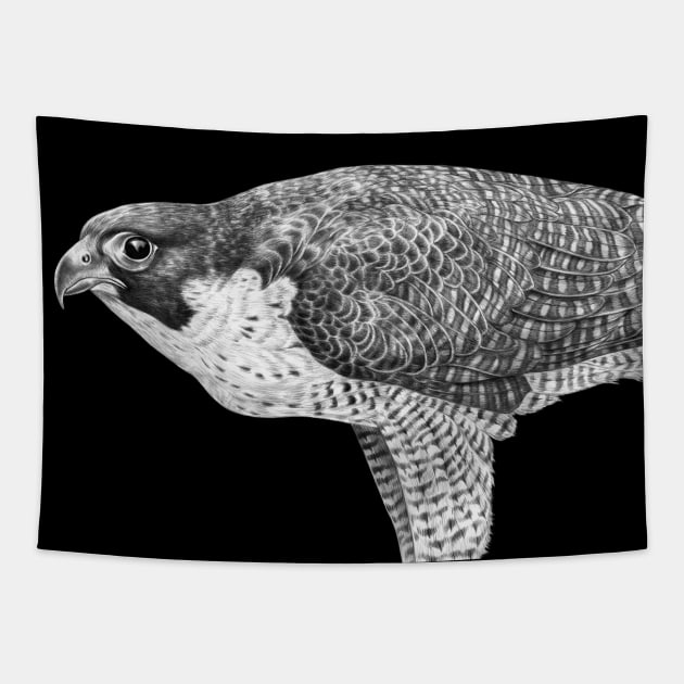 Peregrine Falcon Tapestry by Tim Jeffs Art