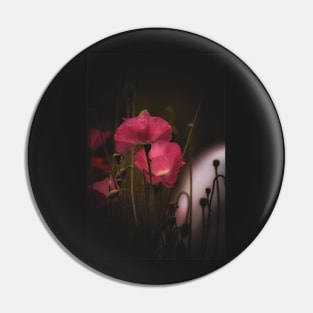 Poppies Pin