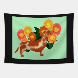 Nosey Dachshund 2 Tapestry