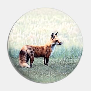 Red Fox - A Pin