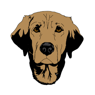 Golden retriever T-Shirt