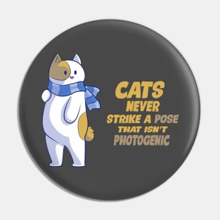 Cats Never Strike A Pose That Isn't Photogenic Pin