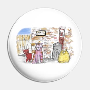 Street cats Pin