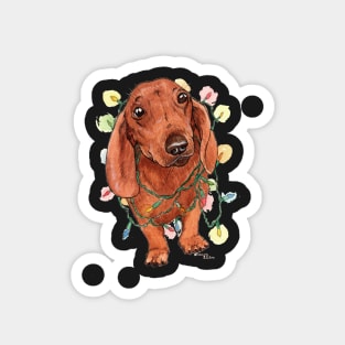 Dachshund with Christmas Lights Magnet