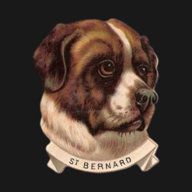 St Bernard Dog by Donkeh23