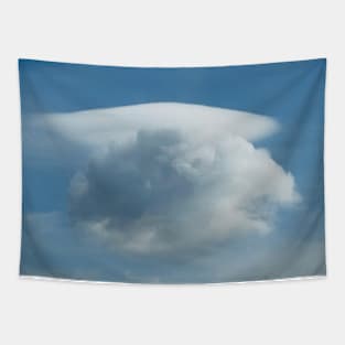 pileus cloud the cloud hat Tapestry