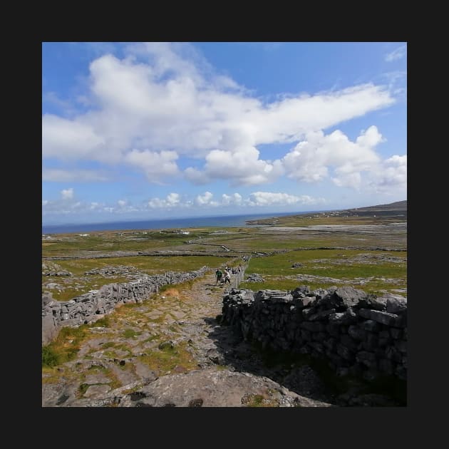 The Irish stone village (stone wall, wall, stone, stones, stone walls, stone wall design, stone wall background) by Thepurplepig