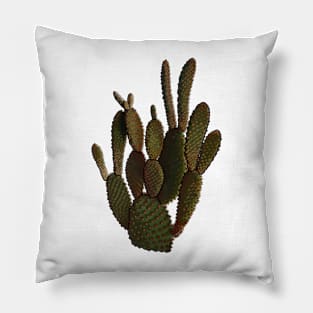 Opuntia Microdasys- Cacti, Cactus, Plant, Nature Pillow