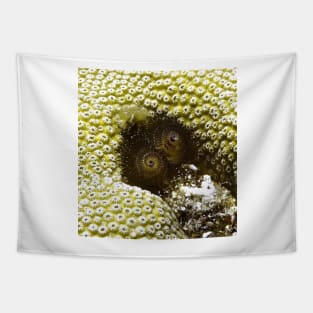 Black Christmas Tree Worm Tapestry