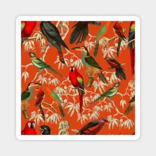 Tropical birds - Orange Magnet