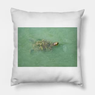 Red-Eared Slider Pillow