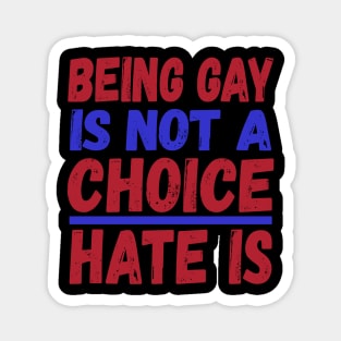 Being Gay is Not a Choice Hate is Magnet