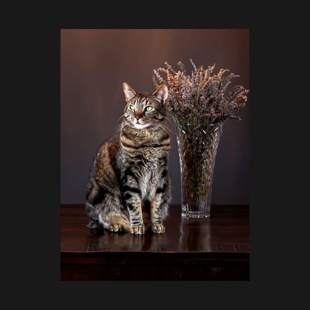 Cat and a vase of dried lavender by blossomcophoto