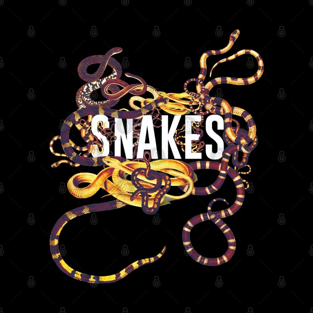 Snakes by Frajtgorski