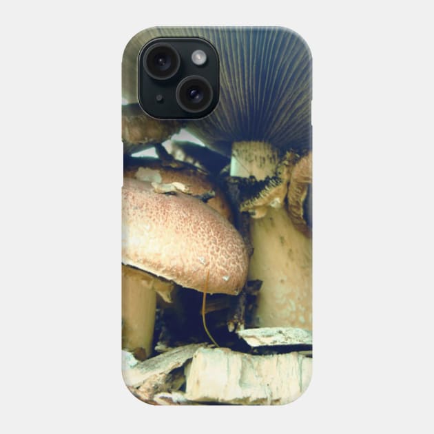 Underneath a Mushroom Phone Case by saradaboru