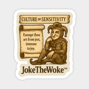 Culture of Sensitivity Magnet