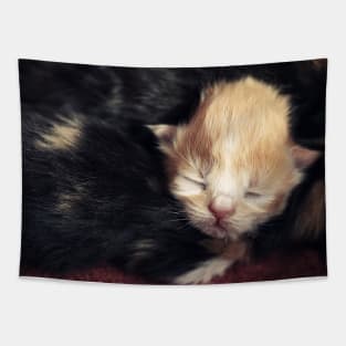 Cuteness!! Tapestry