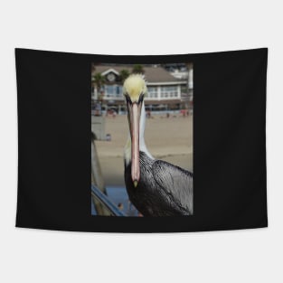 Pelican Eye to Eye Tapestry