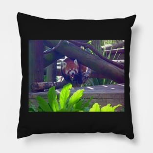 Red Panda Pillow