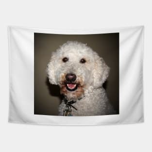 Jake The Labradoodle Tapestry