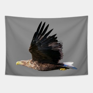 White tailed Eagle Tapestry