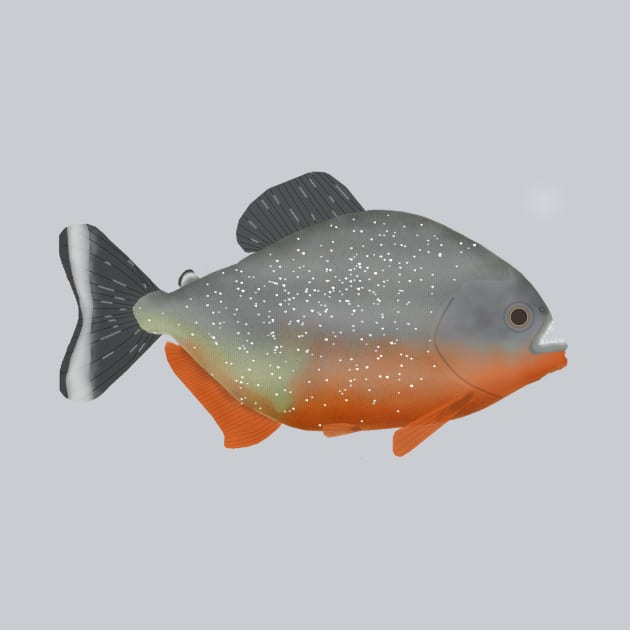 Red-bellied piranha by FishFolkArt