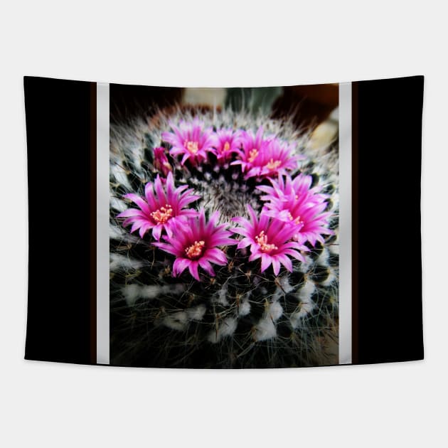 Purple Cactus Flowers Tapestry by csturman