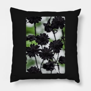 Beautiful Black Flowers, for all those who love nature #82 Pillow