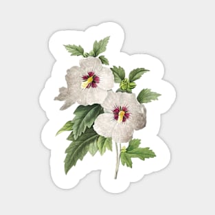 White Flowers painting, Hibiscus Magnet