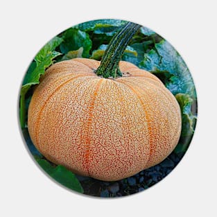 Pretty Pumpkin Pin