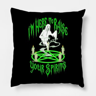 Ghost Hunter Pillow