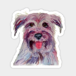 Pyrenean shepherd Magnet