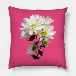 Daisies - White Daisies Pillow