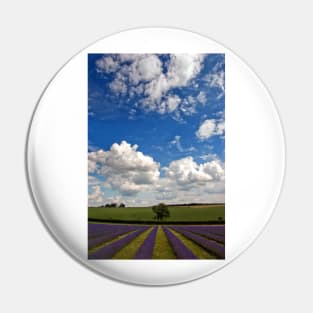 Lavender Field Purple Flowers Cotswolds England Pin