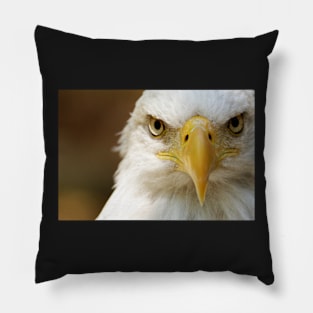 Bald Eagle Pillow