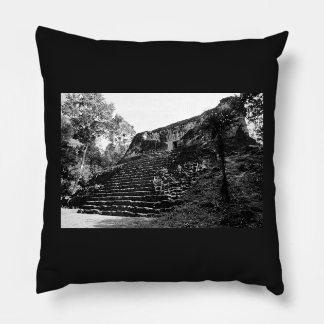 Guatemala - site archéologique de Tikal Pillow by franck380