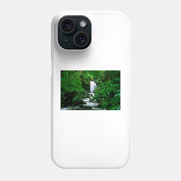 Deep In The Smoky Mountains Phone Case by Rodwilliams