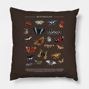 Vintage Butterfly Chart Pillow