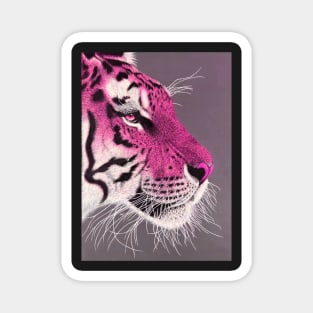 Fuchsia pink and white ombre tiger Magnet