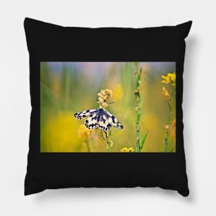 Marbled White Butterfly Pillow