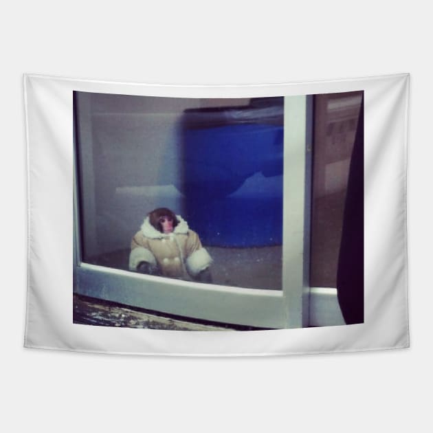 IKEA Monkey Tapestry by FlashmanBiscuit