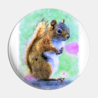 Cute squirrel standing and waiting Pin