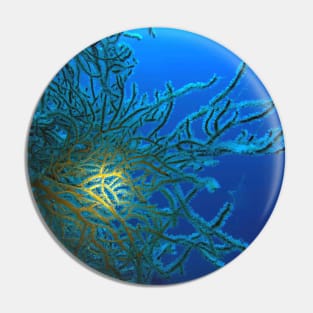 Red Sea Coral Reef Pin