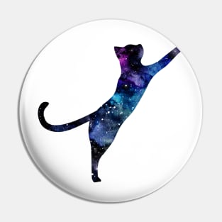 Cat Pin