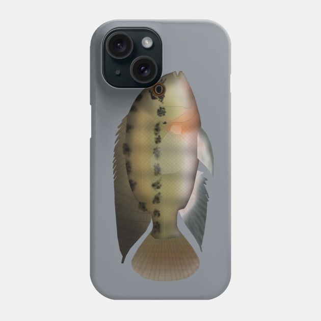 True Parrot Cichlid Phone Case by FishFolkArt